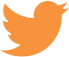 Icône Twitter